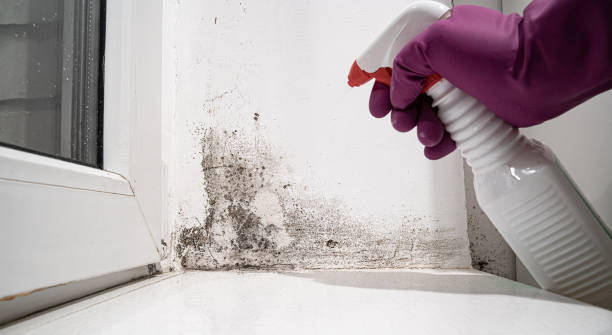 24/7 water damage repair in Laurel Hill, VA